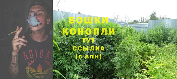 ПСИЛОЦИБИНОВЫЕ ГРИБЫ Надым